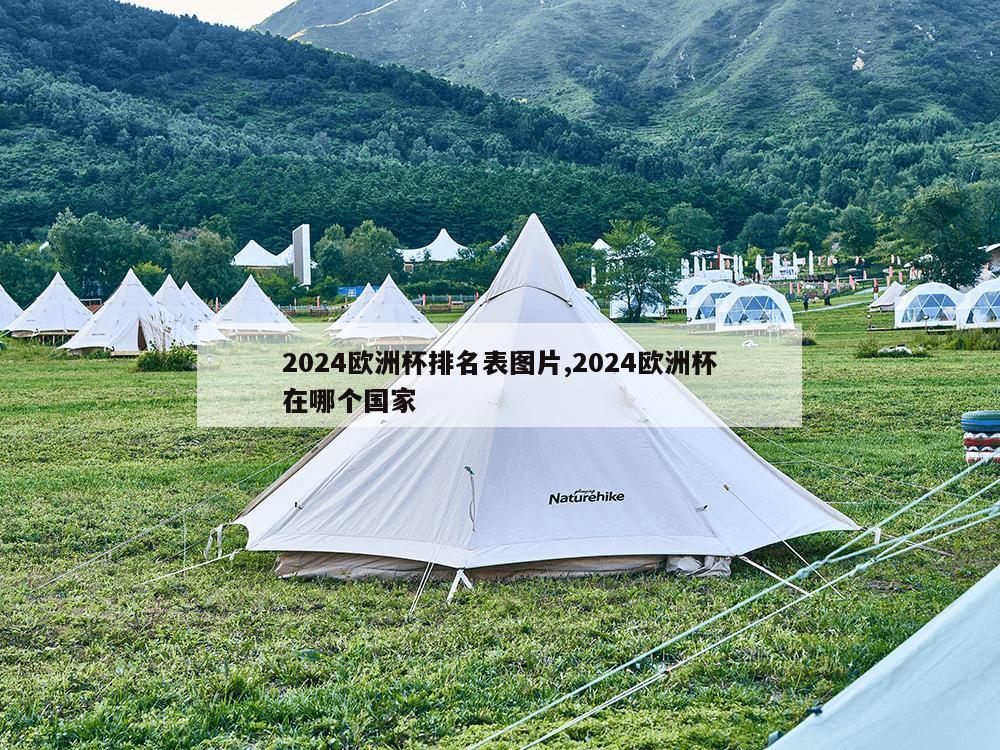 2024欧洲杯排名表图片,2024欧洲杯在哪个国家