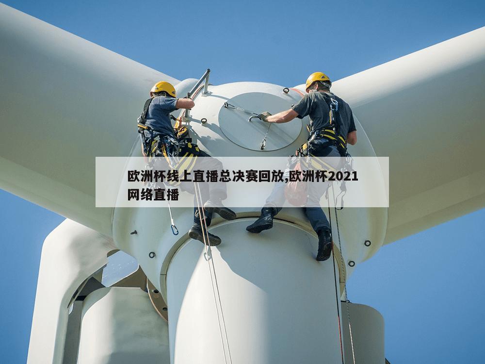 欧洲杯线上直播总决赛回放,欧洲杯2021网络直播