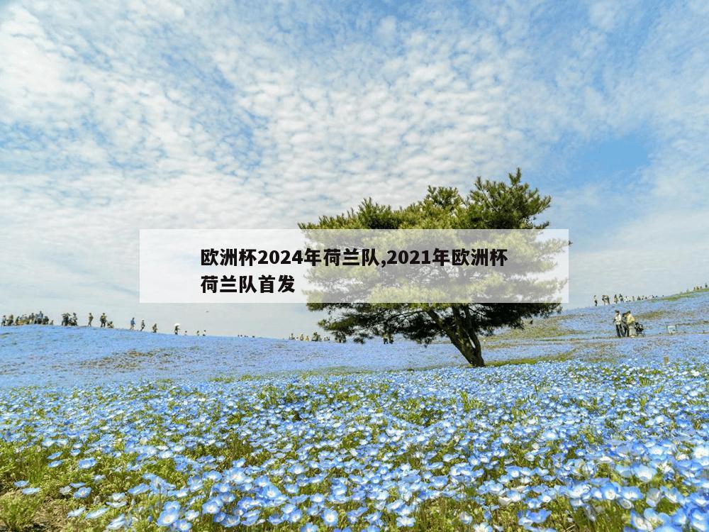 欧洲杯2024年荷兰队,2021年欧洲杯荷兰队首发