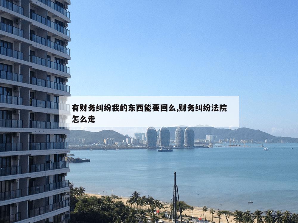 有财务纠纷我的东西能要回么,财务纠纷法院怎么走