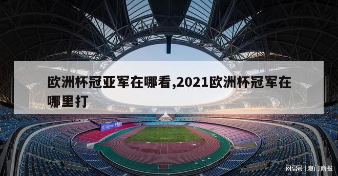 欧洲杯冠亚军在哪看,2021欧洲杯冠军在哪里打