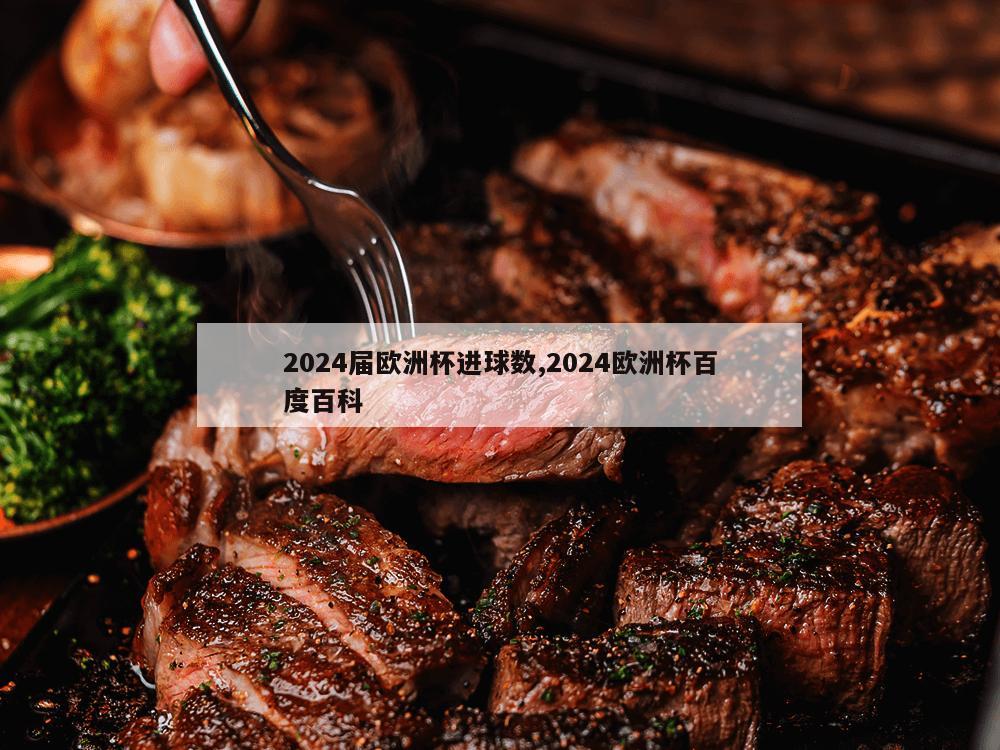 2024届欧洲杯进球数,2024欧洲杯百度百科