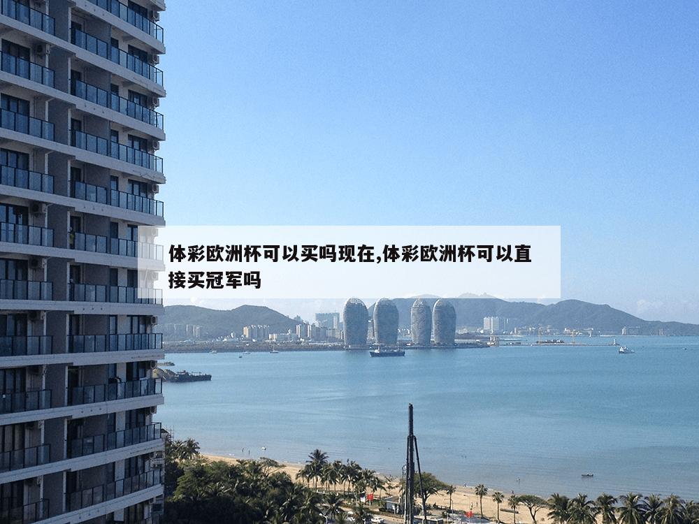 体彩欧洲杯可以买吗现在,体彩欧洲杯可以直接买冠军吗